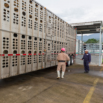 Screen Shot 2021 07 27 at 10.19.33