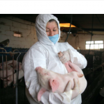 Screen Shot 2021 07 29 at 14.07.39