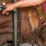 Screen Shot 2021 08 01 at 14.07.03