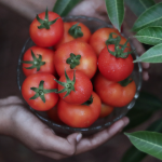 Screen Shot 2021 08 11 at 11.41.05