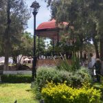 WhatsApp Image 2021 08 02 at 2.20.03 PM