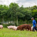 Post 210900 prioriza gobierno de m xico atenci n a peque os agricultores base de la producci n agroalimentaria del pa s 3