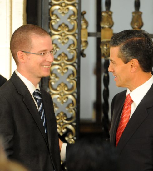10 enero 2014 Ricardo Anaya Cortes