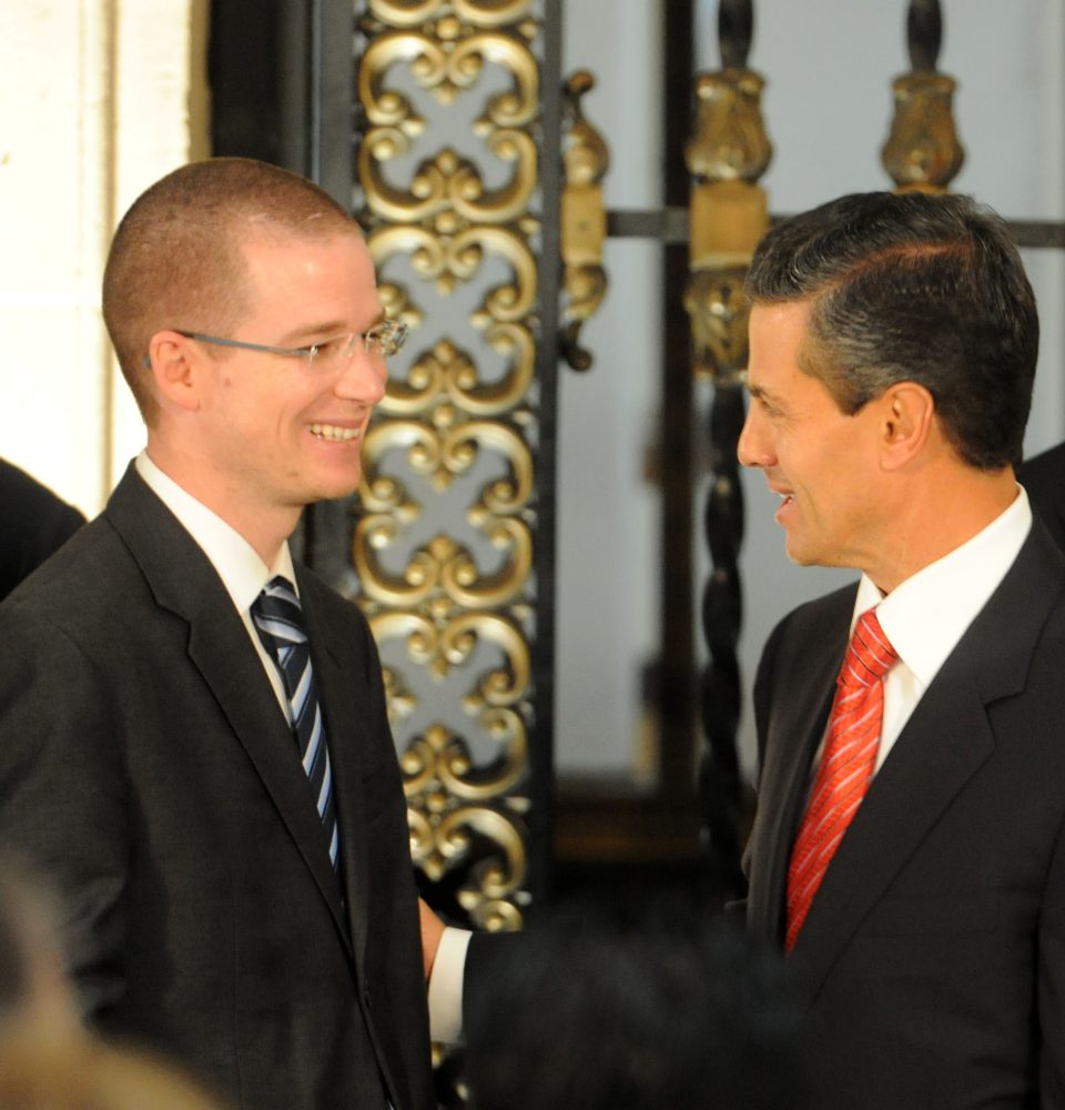 10 enero 2014 Ricardo Anaya Cortes