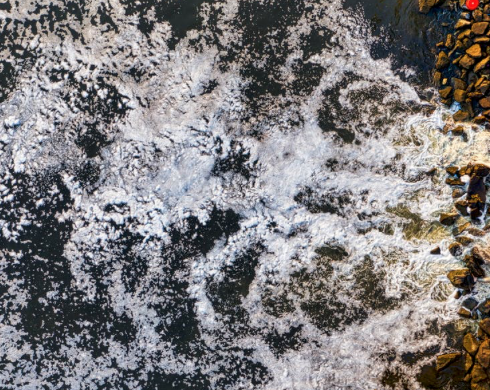 Captura de pantalla 2022 03 15 a la(s) 12.56.29