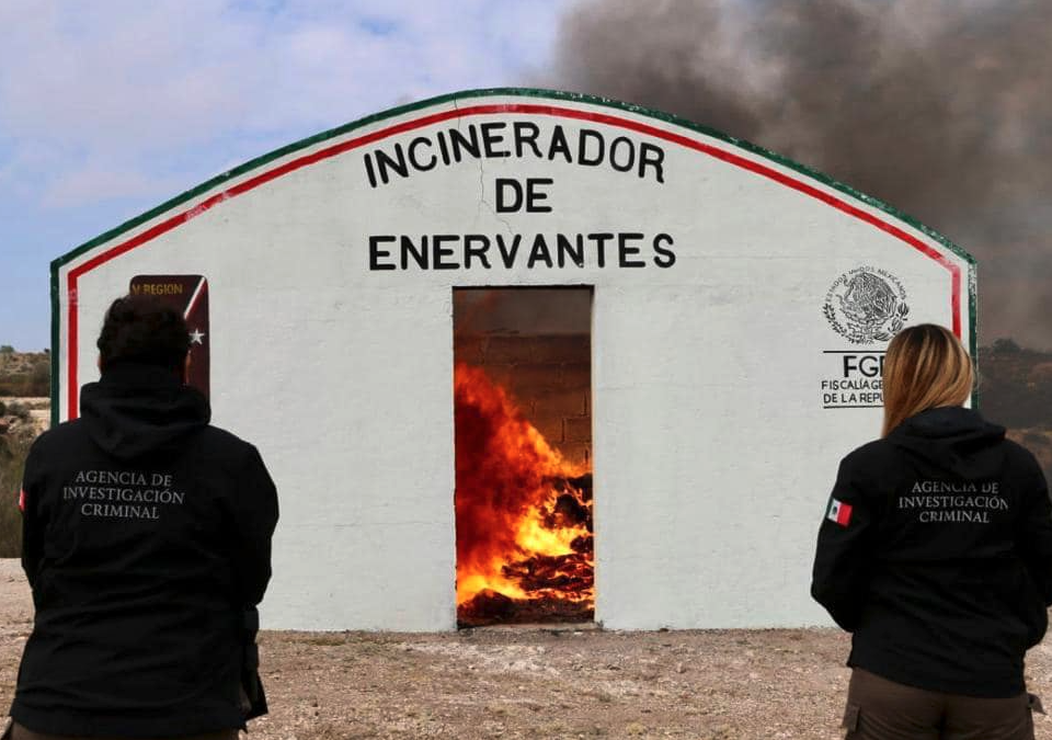 Captura de Pantalla 2022 07 01 a la(s) 12.51.58