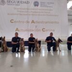 71 273 38378 254905441 1BDD1FAB A0C1 4BA5 A5B7 E3D296376144