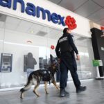 71 273 38497 593657207 Buen Fin