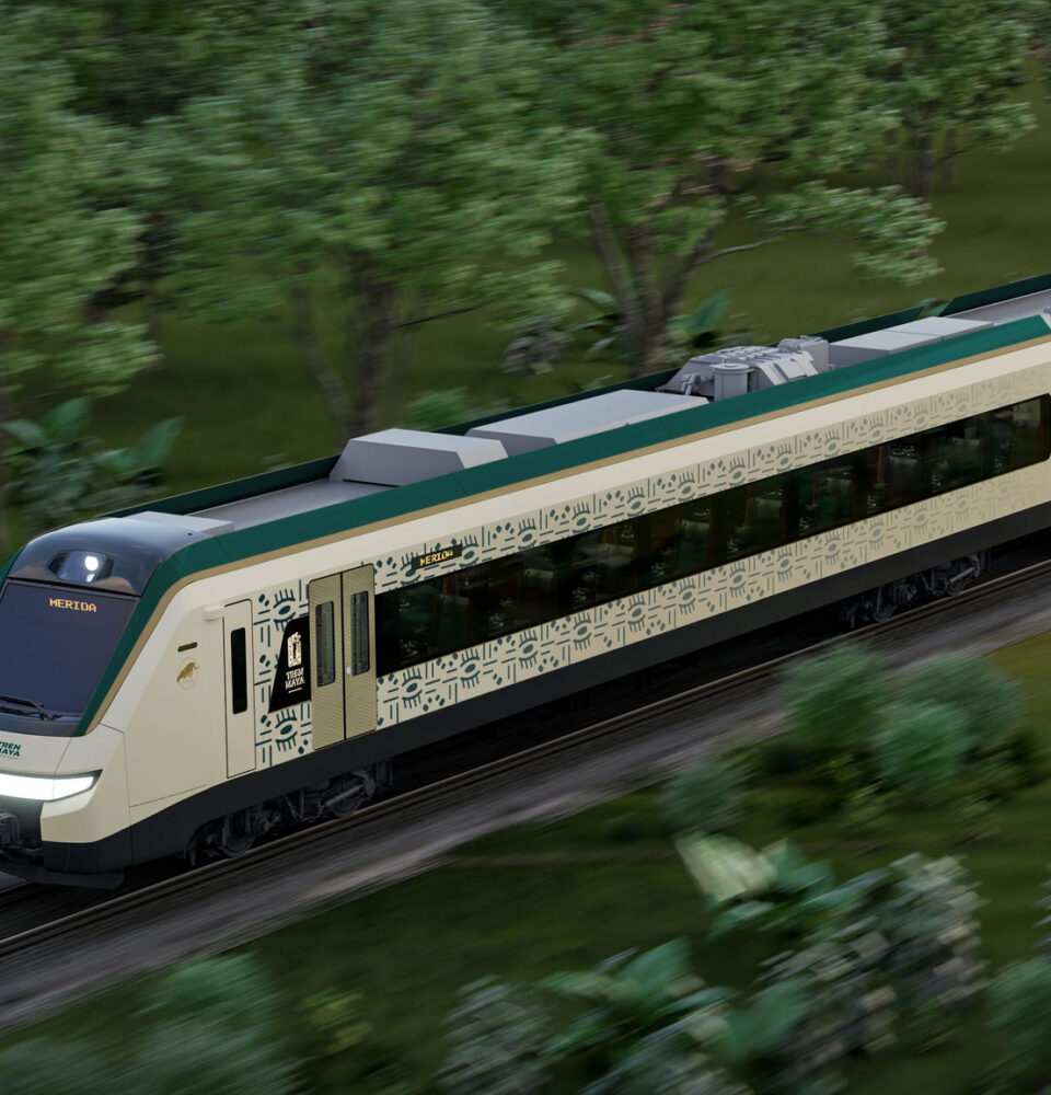 321638392 935045100989416 5016051130798380555 n