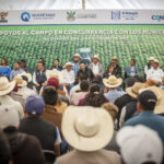 71 273 38647 573984187 IMG