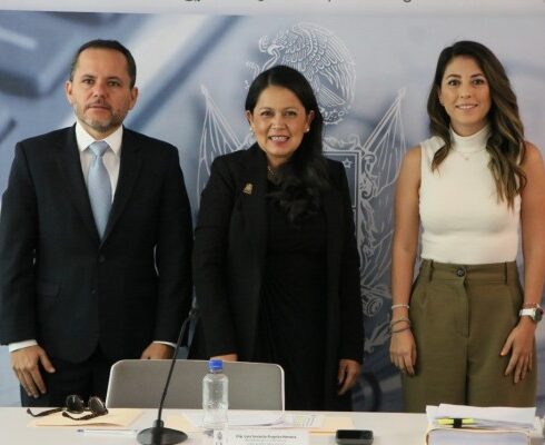 Comision legisla