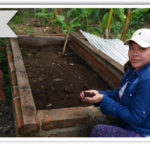 Portada ProyectosAmbientales