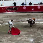 Torero
