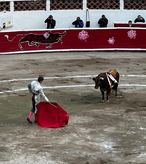 Torero