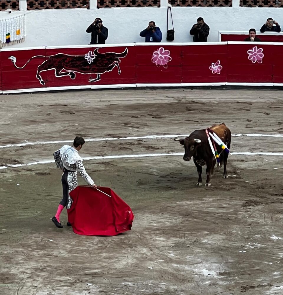 Torero