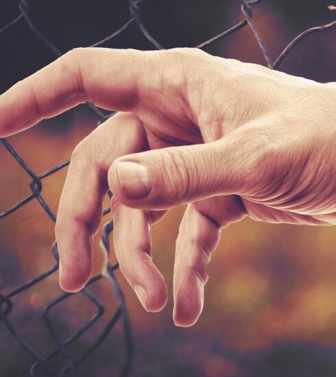 Hands ga4abf6a1c