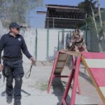 71 273 39680 116539794 embajada de eua dono 4 mdp en equipamiento a unidad canina de poes 5
