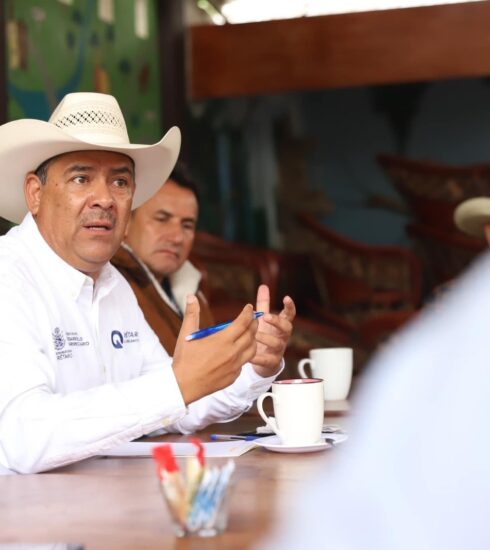 71 273 39756 873512925 SEDEA ganaderos de la sierra