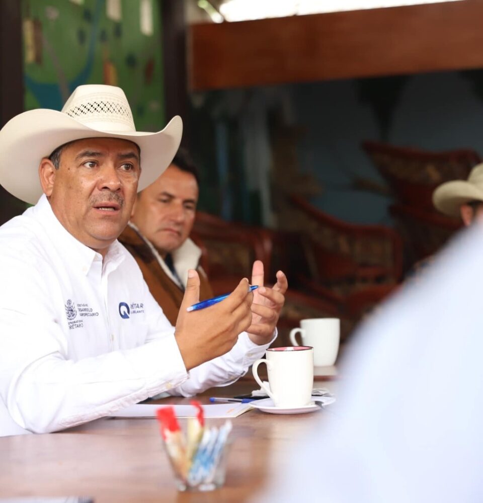 71 273 39756 873512925 SEDEA ganaderos de la sierra