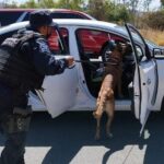 71 273 39853 1356607496 0D1FAF92 A712 4E6C BEE1 B8B563D704A6