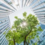 Ey building with tree