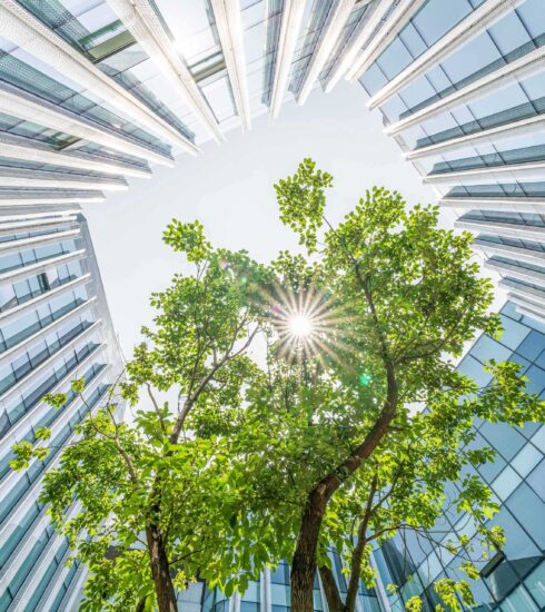Ey building with tree
