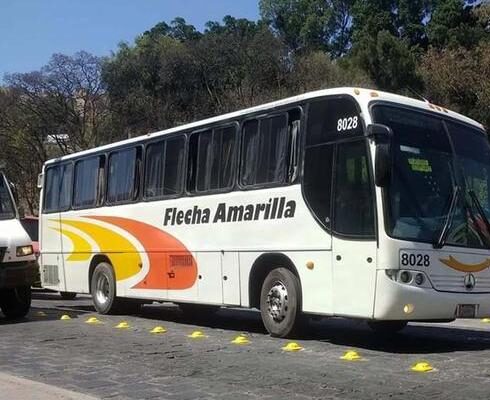 Q6 flecha
