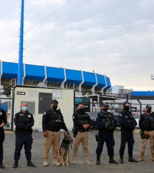 Seguridad speal
