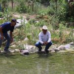 71 273 40663 1338135772 SEDEA Penamiller foto