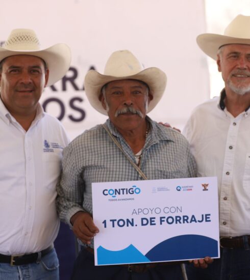 71 273 41016 528953880 SEDEA FORRAJE PENAMILLER TOLIMAN 15 JUNIO 2023