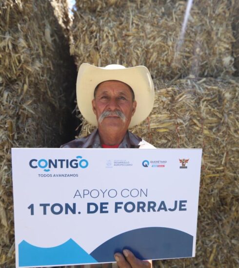71 273 41104 1589317281 SEDEA FORRAJE SAN JOAQUIN 21 06 2023