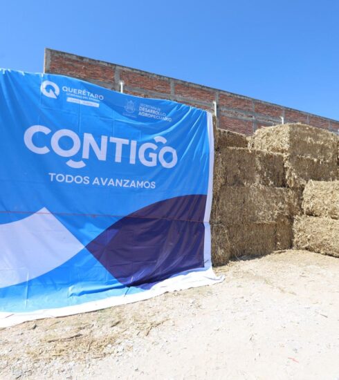 71 273 41143 1619812713 SEDEA FORRAJE CADEREYTA 23 06 2023