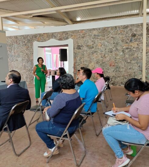 71 273 41492 816703107 SECTUR A AMBER