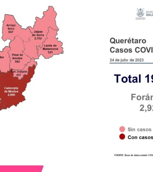 71 273 41507 564831136 photo1690242394 (1)