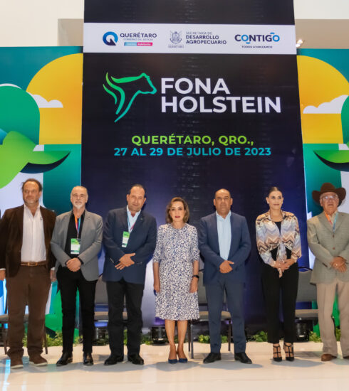 71 273 41532 1705240146 IMG