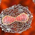 71 273 41564 376076134 EFFEDBA4 C19E 4B3C BCF8 25EEC4697115