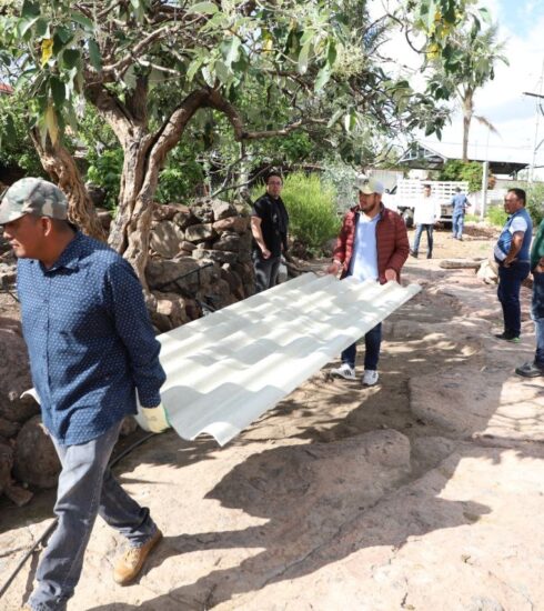 71 273 41571 1517992609 IMG