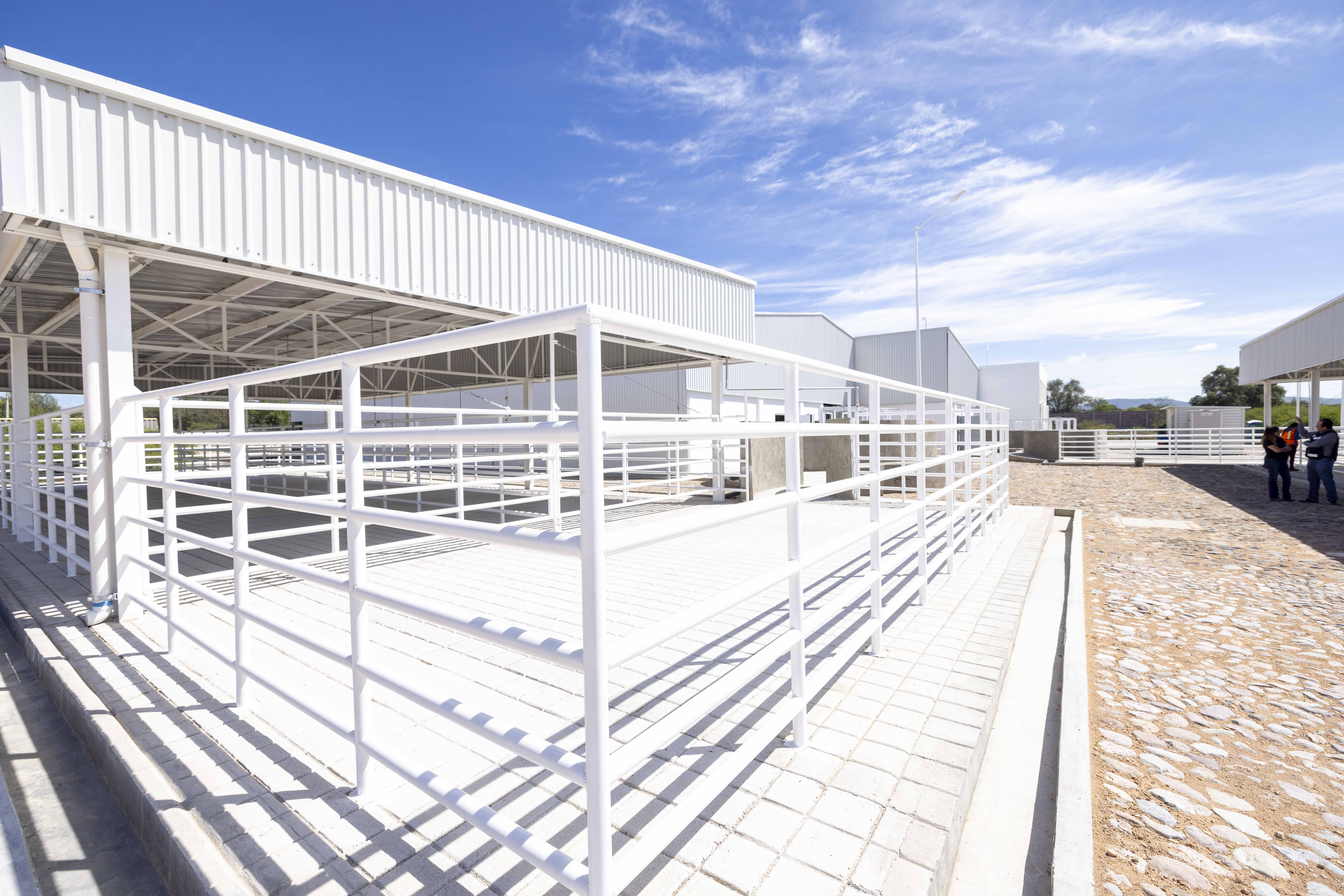 71 273 41597 97010347 IMG