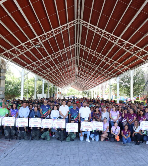 71 273 41613 724543338 SEL (1) (1)