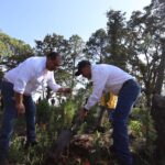 71 273 41678 114705255 REFORESTACION AMEALCO 10 DE AGOSTO 2023