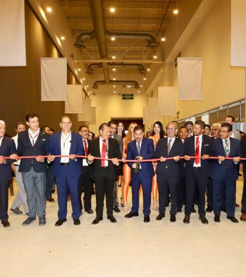 71 273 41686 132245310 IMG