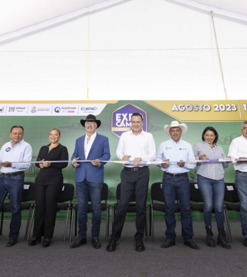 71 273 41695 652966301 IMG