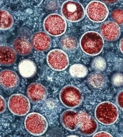 71 273 41734 216948949 IMG