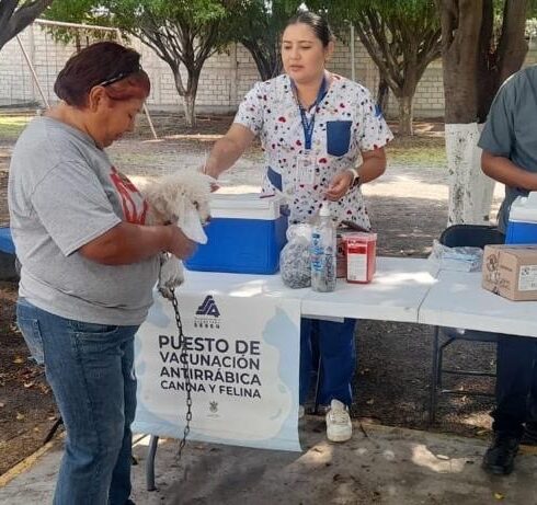 71 273 41806 794417687 IMG