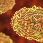 71 273 41815 1910111926 C04F8303 BD84 4BEC A600 3B24720F9492