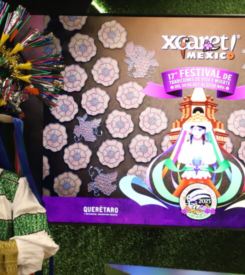 71 273 41890 1398671612 XCARET