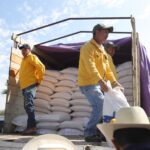 71 273 41949 1527949928 SEDEA AVENA TX 1o 09 2023