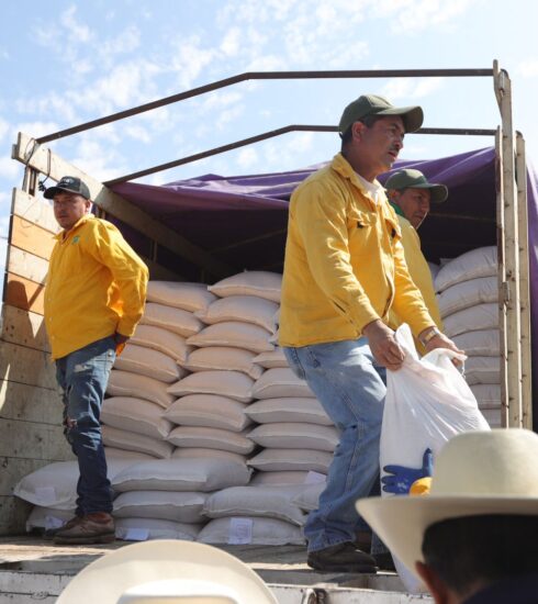 71 273 41949 1527949928 SEDEA AVENA TX 1o 09 2023