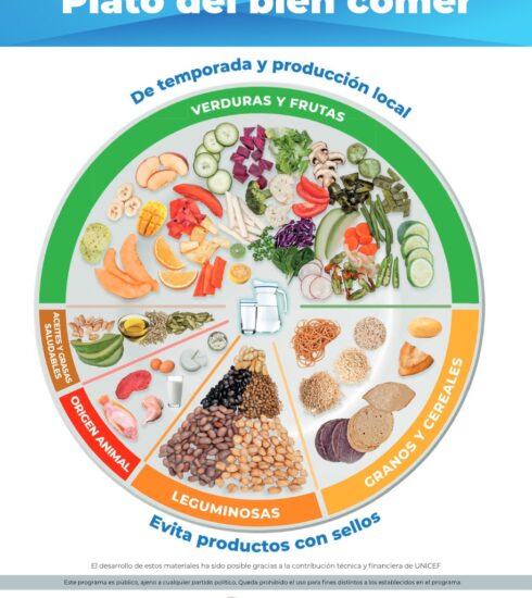 71 273 41963 106945664 1 SESA 0309 PLATO BIEN COMER