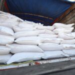 71 273 41970 2095898513 SEDEA SEMILLA Queretaro SJR 4 de septiembre 2023